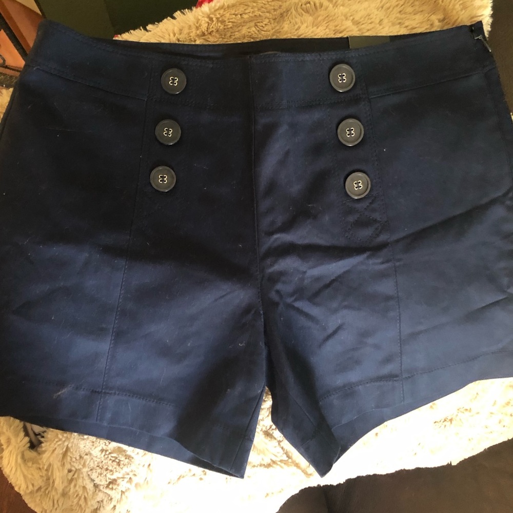 The Limited Shorts